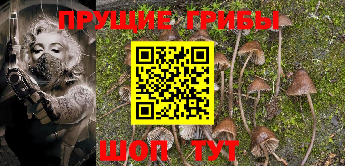 Псилоцибиновые грибы Magic Shrooms  Вход с VPN  Назрань  Псилоцибиновые грибы мицелий 